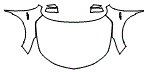 Full Hood, Fender and Mirror Kit pattern for the 2026 Acura RDX