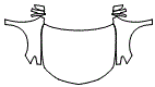 Full Hood, Fender and Mirror Kit pattern for the 2020 Acura RLX