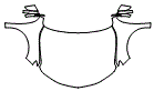 Full Hood, Fender and Mirror Kit pattern for the 2019 Acura TLX