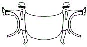 Full Hood, Fender and Mirror Kit pattern for the 2013 Infiniti QX56