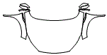 Full Hood, Fender and Mirror Kit pattern for the 2025 Infiniti QX50