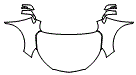 Full Hood, Fender and Mirror Kit pattern for the 2022 Buick Encore