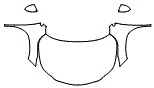 Full Hood, Fender and Mirror Kit pattern for the 2016 Lexus RX