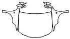 Full Hood, Fender and Mirror Kit pattern for the 2019 Lexus ES