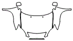 Hood, Fender and Mirror Kit pattern for the 2007 Lexus RX 350