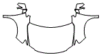 Full Hood, Fender and Mirror Kit pattern for the 2015 Lexus RX 350
