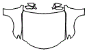 Full Hood, Fender and Mirror Kit pattern for the 2025 Lexus RC