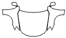 Full Hood, Hood, Fender and Mirror Kit pattern for the 2007 Lexus IS 250