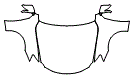 Full Hood, Fender and Mirror Kit pattern for the 2012 Lexus IS 250