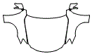 Full Hood, Fender and Mirror Kit pattern for the 2015 Lexus IS 250