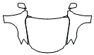Full Hood, Fender and Mirror Kit pattern for the 2007 Lexus IS 250