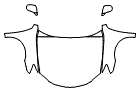 Full Hood, Fender and Mirror Kit pattern for the 2007 Lexus ES 350