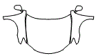 Hood, Fender and Mirror Kit pattern for the 2007 Lexus ES 350