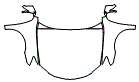 Full Hood, Fender and Mirror Kit pattern for the 2012 Lexus ES 350