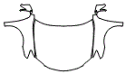 Hood, Fender and Mirror Kit pattern for the 2012 Lexus ES 350