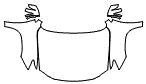 Full Hood, Fender and Mirror Kit pattern for the 2015 Lexus LX 570
