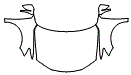 Full Hood, Fender and Mirror Kit pattern for the 2017 Lexus CT200h