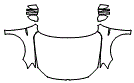 Full Hood, Fender and Mirror Kit pattern for the 2016 Volkswagen Jetta