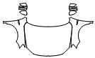 Full Hood, Fender and Mirror Kit pattern for the 2016 Volkswagen Jetta