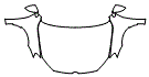 Full Hood, Fender and Mirror Kit pattern for the 2015 Volkswagen Golf