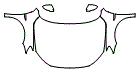 Full Hood, Fender and Mirror Kit pattern for the 2022 Volkswagen Passat