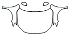 Full Hood, Fender and Mirror Kit pattern for the 2022 Volkswagen Passat