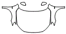 Full Hood, Fender and Mirror Kit pattern for the 2022 Volkswagen Passat