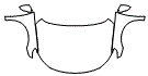 Hood, Fender and Mirror Kit pattern for the 2011 Volkswagen CC