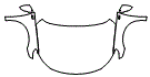 Full Hood, Fender and Mirror Kit pattern for the 2011 Volkswagen CC