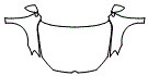 Full Hood, Fender and Mirror Kit pattern for the 2021 Volkswagen Golf (Canada)