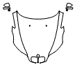 Full Hood and Mirror Kit pattern for the 2000 BMW M Roadster
