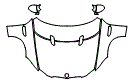 Hood, Fender and Mirror Kit pattern for the 2008 BMW M3