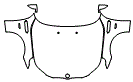 Hood, Fender and Mirror Kit pattern for the 2007 BMW M5