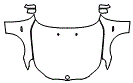 Full Hood, Fender and Mirror Kit pattern for the 2007 BMW 550