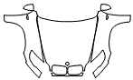 Full Hood, Fender and Mirror Kit pattern for the 2011 BMW X6