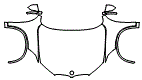 Full Hood, Fender and Mirror Kit pattern for the 2021 BMW X1