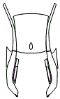 B-Pillar, C-Pillar, A-Pillar and Roof Kit pattern for the 2014 BMW i8