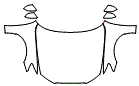 Full Hood, Fender and Mirror Kit pattern for the 2013 Audi S6