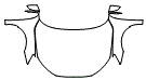 Full Hood, Fender and Mirror Kit pattern for the 2026 Audi S3