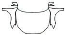 Full Hood, Fender and Mirror Kit pattern for the 2026 Audi RS3