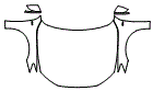 Full Hood, Fender and Mirror Kit pattern for the 2025 Audi A7