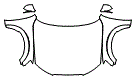 Full Hood, Fender and Mirror Kit pattern for the 2015 Audi allroad