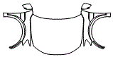Full Hood, Fender and Mirror Kit pattern for the 2023 Audi e-tron