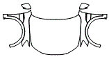 Full Hood, Fender and Mirror Kit pattern for the 2023 Audi e-tron