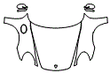 Full Hood, Fender and Mirror Kit pattern for the 2005 Porsche Boxster