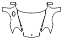 Full Hood, Fender and Mirror Kit pattern for the 2005 Porsche 911