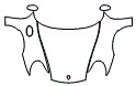 Full Hood, Fender and Mirror Kit pattern for the 2000 Porsche 911