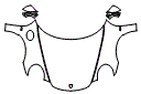 Full Hood, Fender and Mirror Kit pattern for the 2018 Porsche 911
