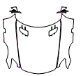 Full Hood, Fender and Mirror Kit pattern for the 2015 Mercedes Benz SLS