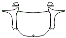 Full Hood, Fender and Mirror Kit pattern for the 2026 Mercedes Benz GLB SUV
